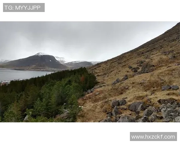 足球明星闪耀星球探索之旅：走近传奇球员的光辉足迹与未来愿景